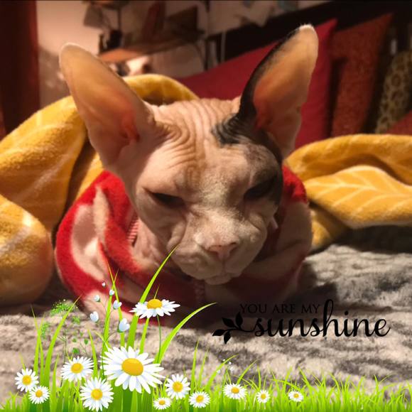 Meet your Posher, Jana - Picture 1 of 1